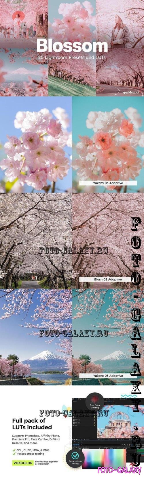 20 Blossom Lightroom Presets and LUT - 291197578 - ZM82B7D