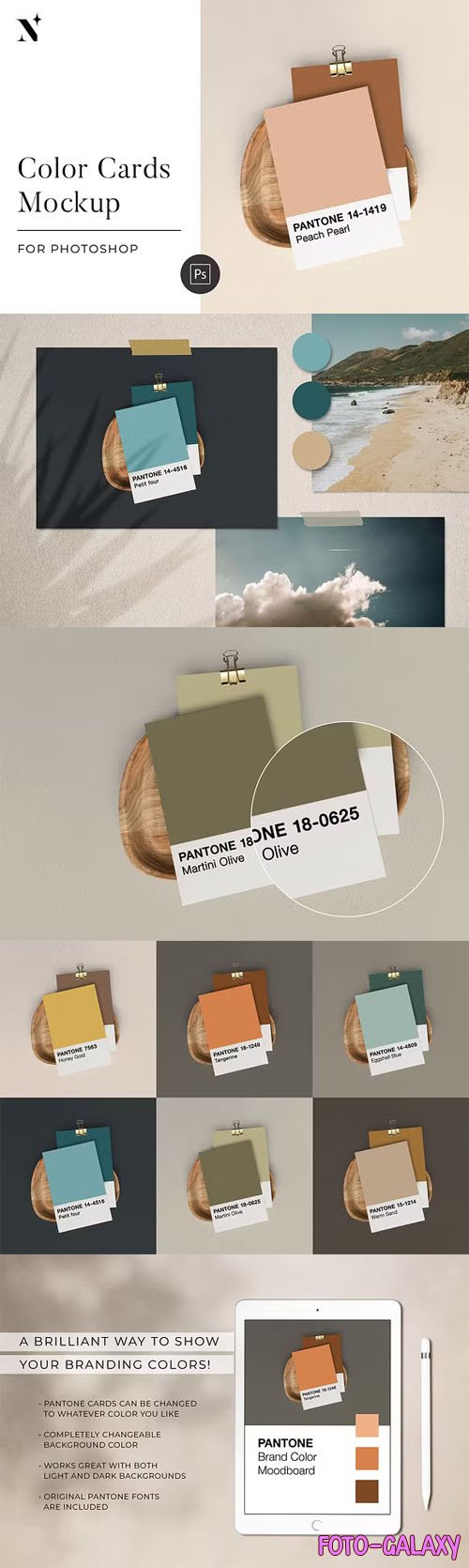 Pantone Color Cards PSD Mockup Templates