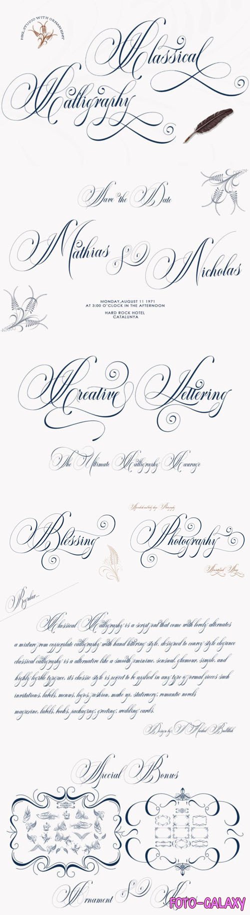 Classical Calligraphy - Vintage Calligraphy Script Font