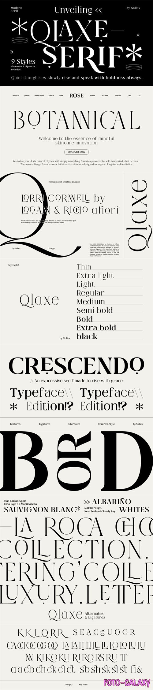 Qlaxe Serif - Modern Classic Serif Font Family