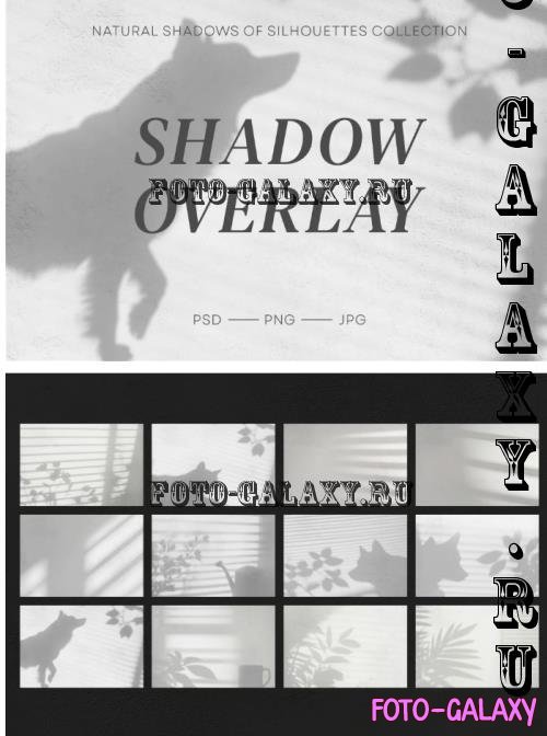 Floral Dog Shadows Overlays - GT9UJ7Y