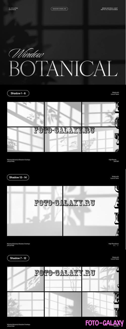 Window Botanical Shadow Overlays - 2WHH72Y