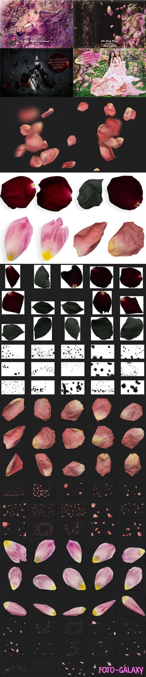 Petals and Leaves Bundle - 500+ Photoshop Overlays Collection