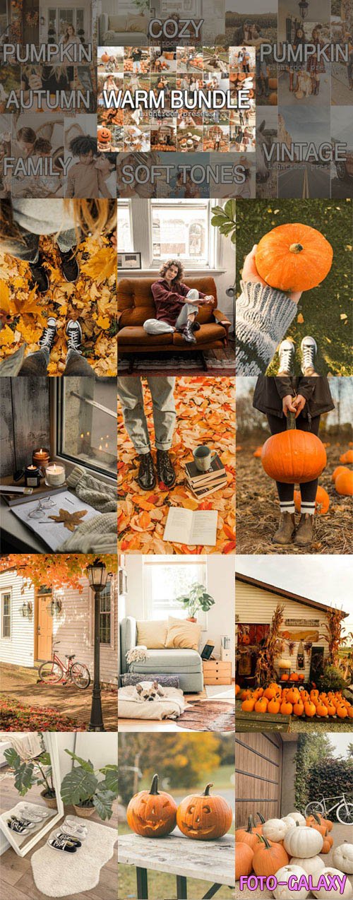 Warm Mobile & Desktop Lightroom Presets Bundle