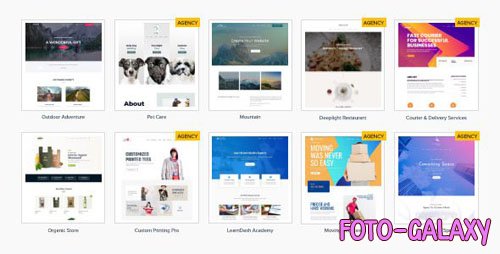 Astra Starter Templates Premium v4.4.22