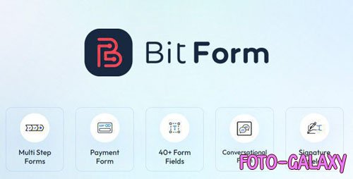 Bit Form Pro v2.12.10 - WordPress Form Builder