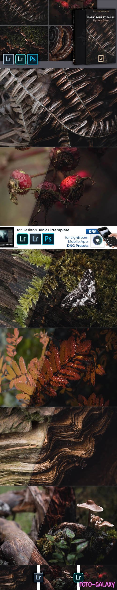 Dark Forest Tales Mobile & Desktop Presets for Lightroom
