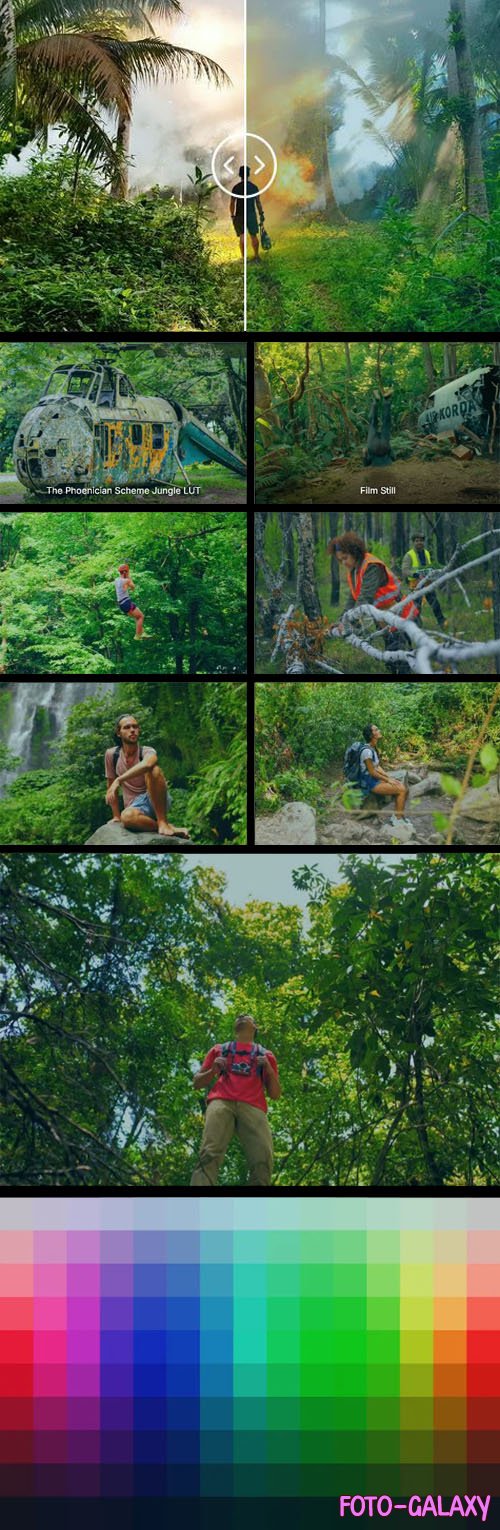Jungle LUTs Preset - Vibrant Jungle Color Grading