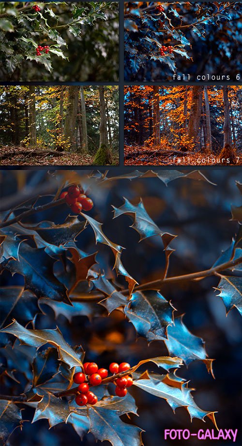 Fall Colours Presets for Lightroom & Camera RAW
