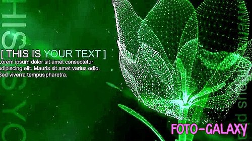 MA Fluid Flower 248491 - Project for After Effects
