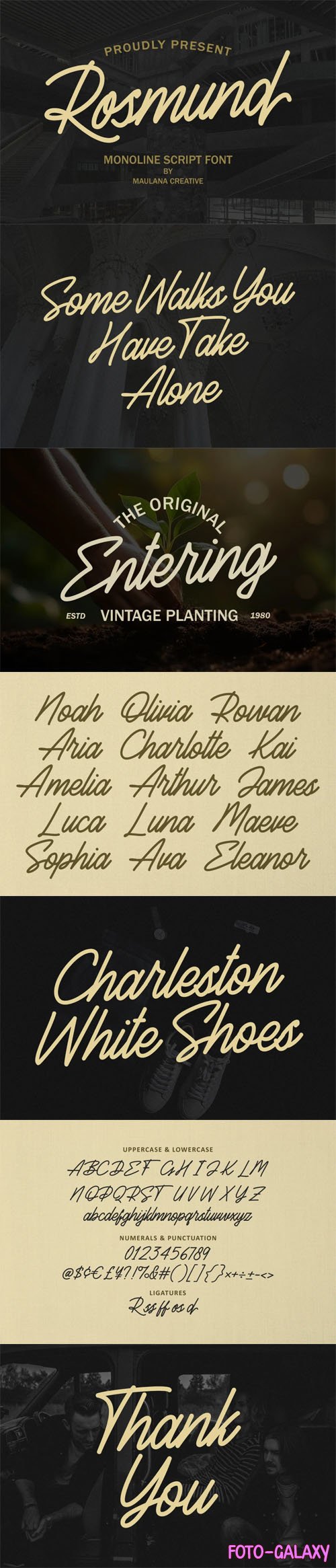 Rosmund - Monoline Signature Script Font