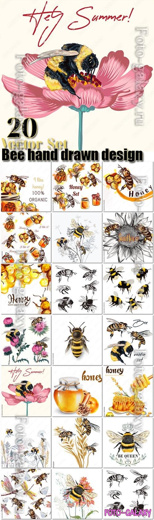 Bee collection of 20 vector hand drawn detailed for design