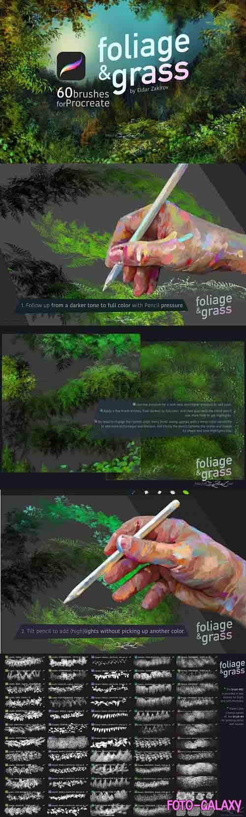 CreativeMarket - 60 Foliage & Grass Procreate brushes 5760856