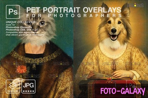 Royal Pet Portrait templates vol.17, Pet Painting - 1133446