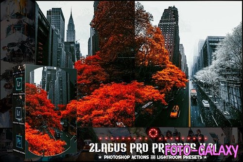 PRO Presets - V 21 - Photoshop & Lightroom