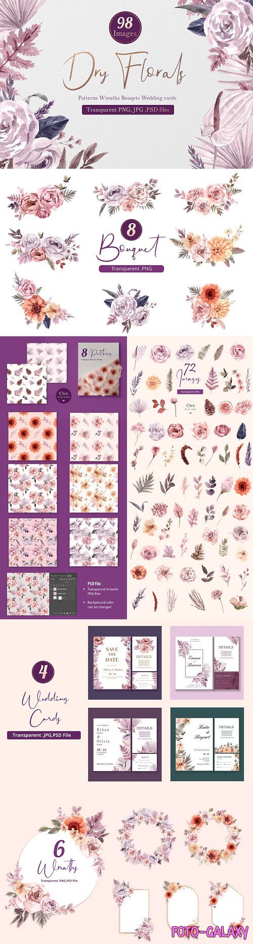 Dry Florals Illustration Watercolor - 6269121