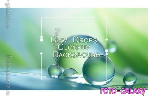 Dew Drops Closeup Background